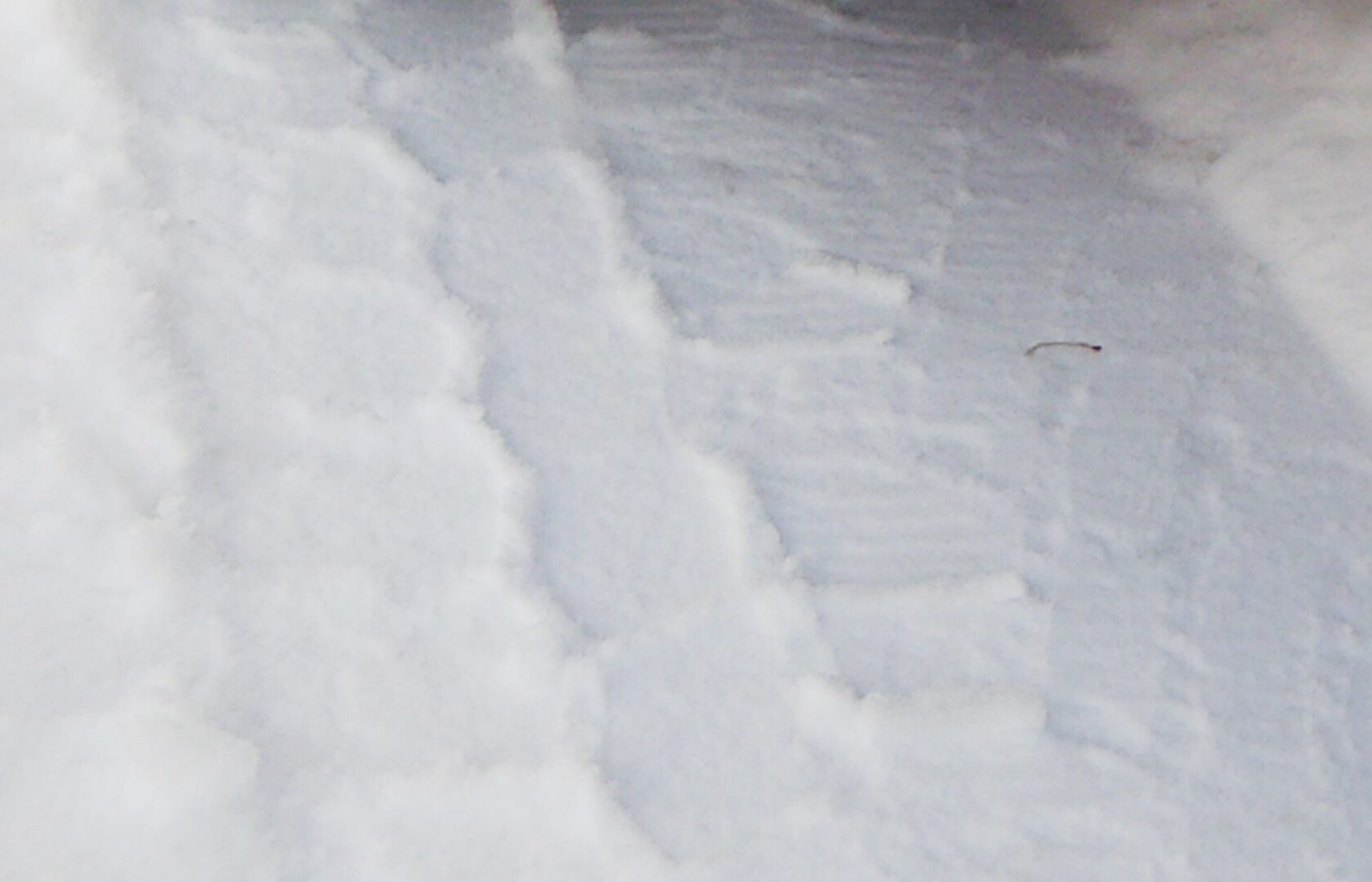 Winter tire with its tread imprint in snow
