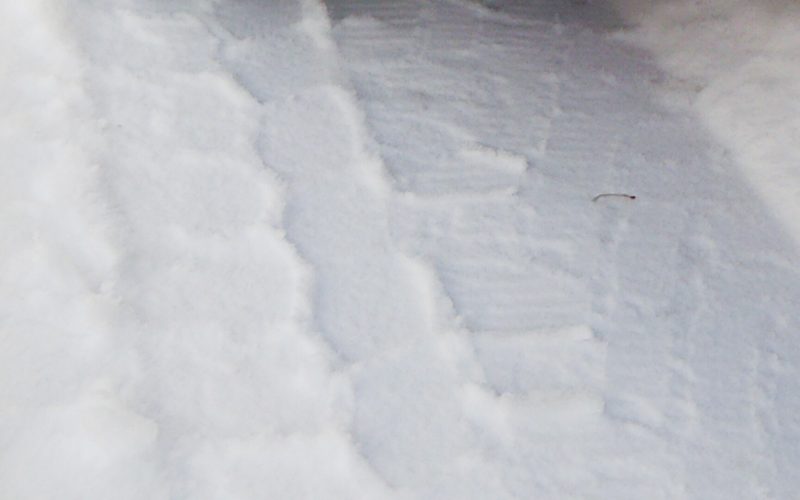 Winter tire with its tread imprint in snow